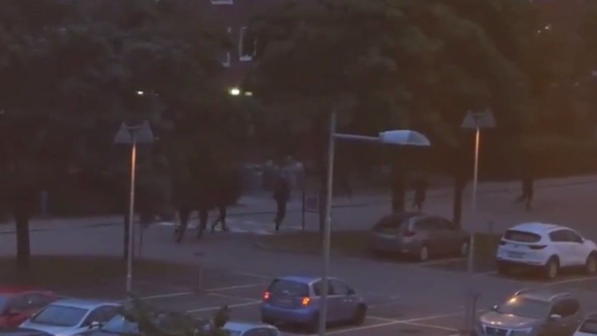 In a coordinated attack, 80 vehicles were set ablaze across west Sweden last night. PM says it seems as a military action. He asked these criminals: What the hell are you doing?   