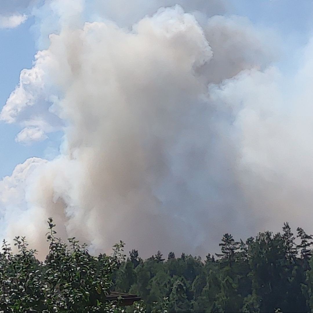 Forest fire in Garkalne. eyewitness photo