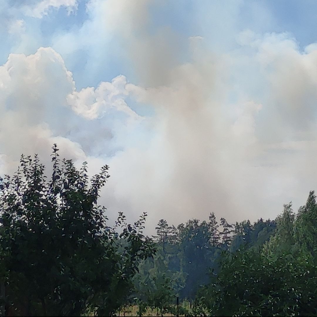 Forest fire in Garkalne. eyewitness photo