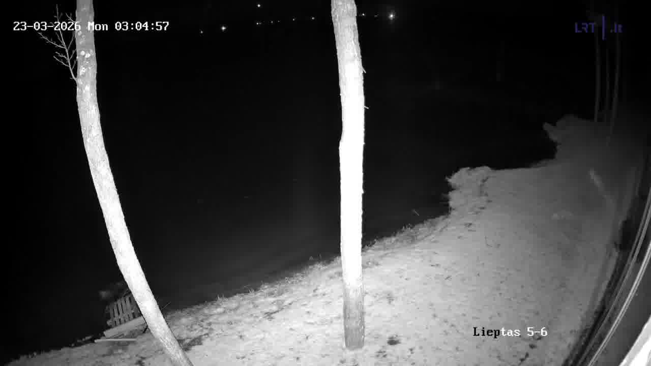 Unidentified drone entered Lithuania airspace and crashed into the lake in Varena District